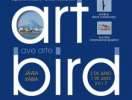 Art Bird-Ave Arte