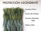 Protección ascendente