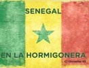 Senegal en La Hormigonera