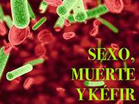 Sexo, muerte y kéfir