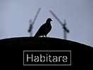 Habitare