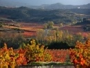 Paisaje cultural del vino y el viñedo en La Rioja