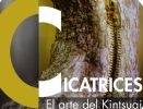 Cicatrices. El arte del kintsugi